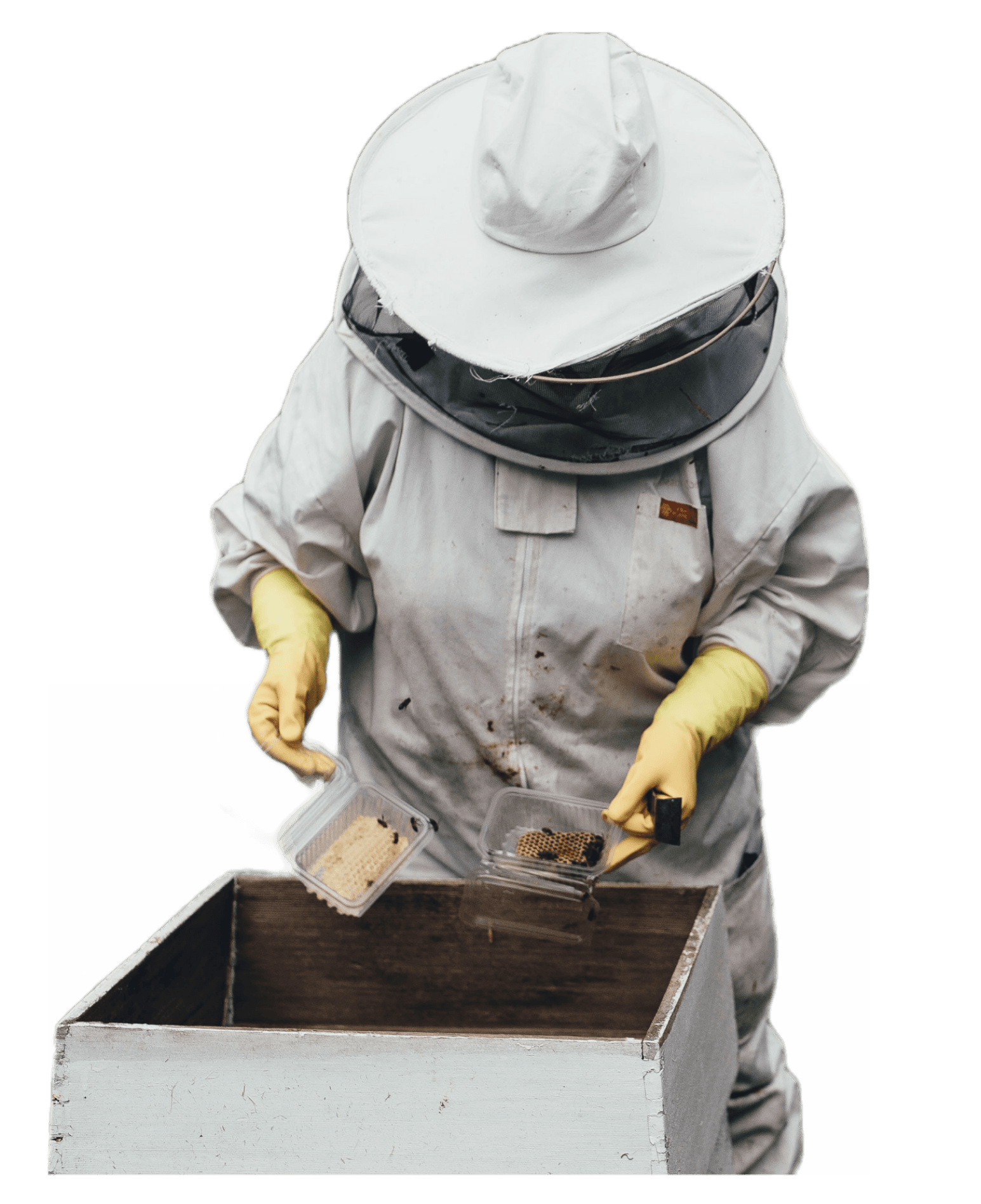 beeGuy